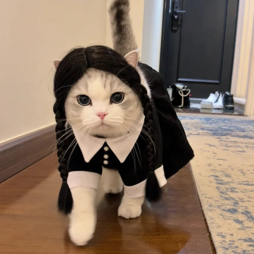 Renuva™ Halloween Pet Costume