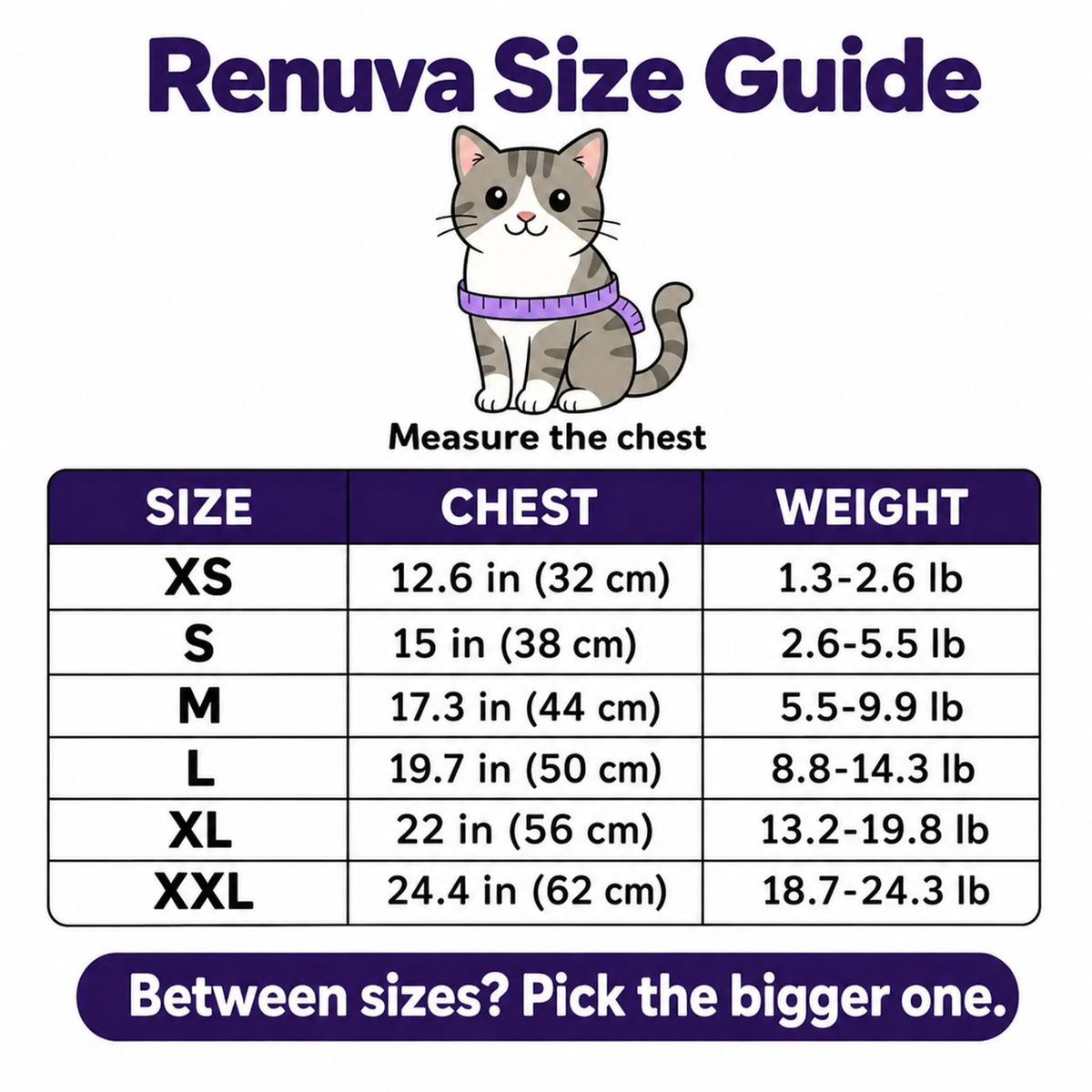 Renuva™ Halloween Pet Costume